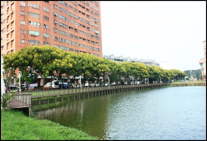 2018年9月7日龍岡士校大池 (2).JPG