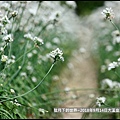 2018年9月14日大溪韭菜-中庄區 (18).jpg