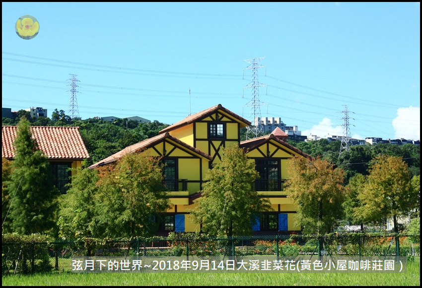 2018年9月14日大溪韭菜花（黃色小屋咖啡莊園） (1).jpg