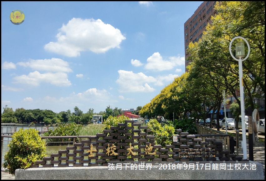 2018年9月17日龍岡士校大池賞台灣欒樹 (27).jpg