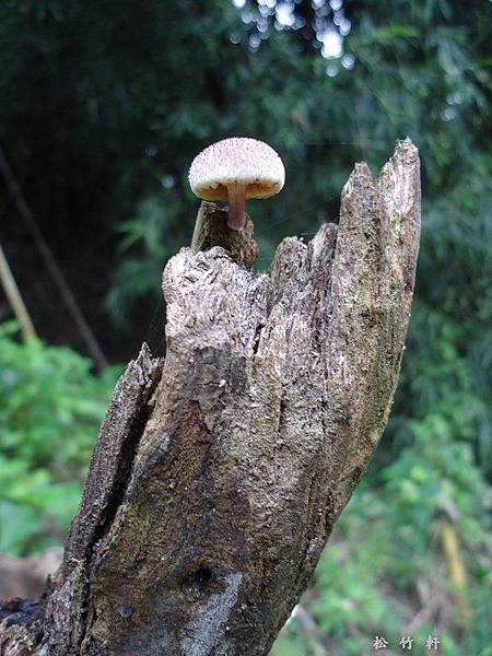 V5zKZk_3hZrau0XuGWMyKw