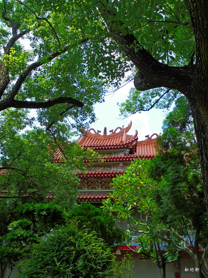 DSC02196.JPG DSC02196.JPG