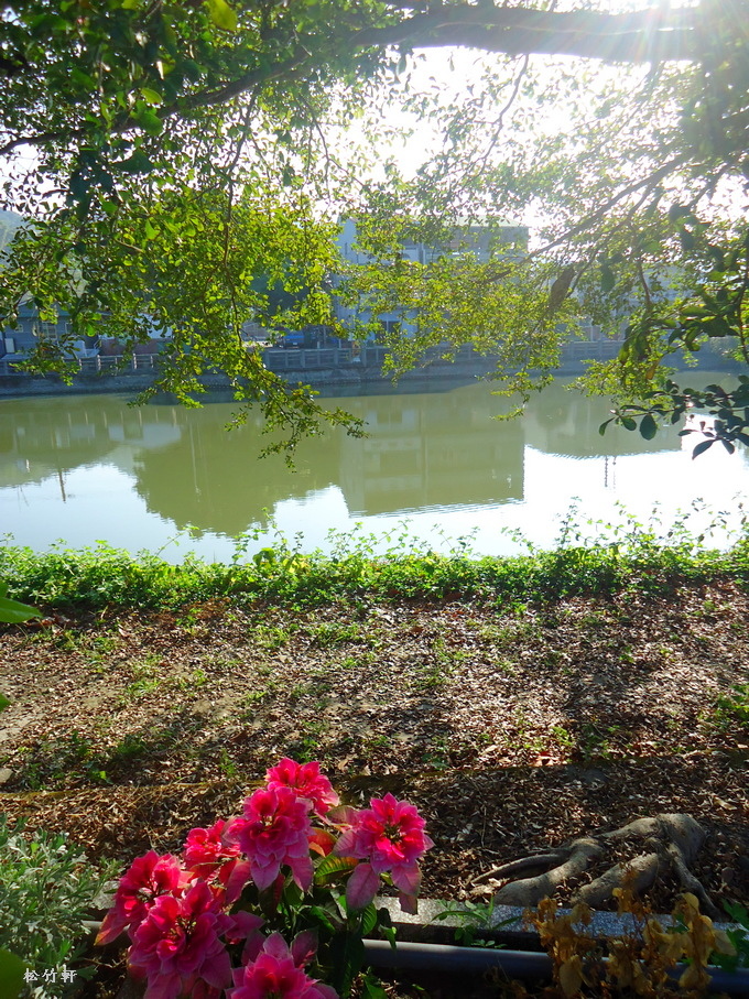 DSC08552.JPG DSC08552.JPG