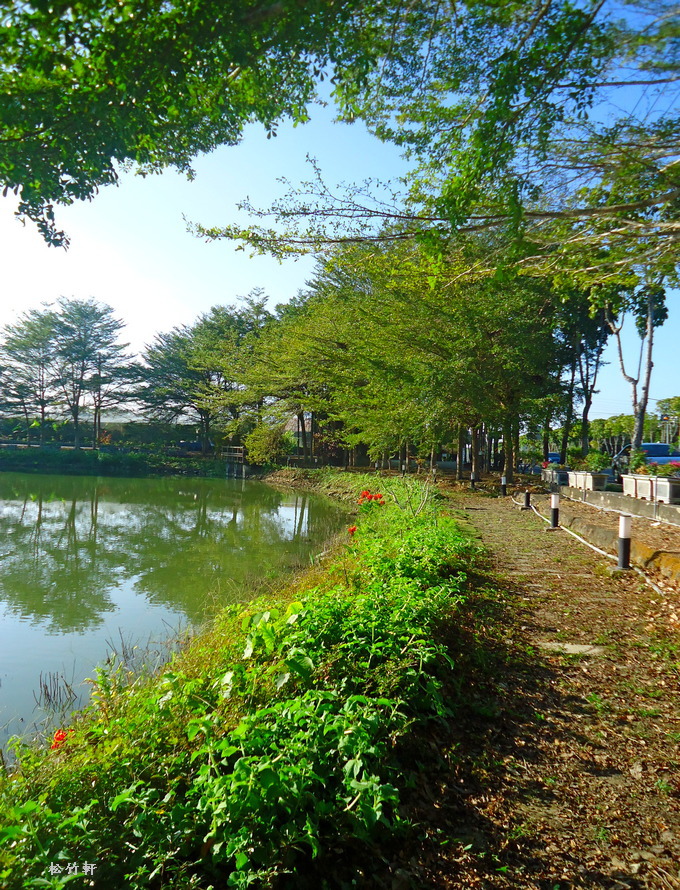 DSC08555.JPG DSC08555.JPG