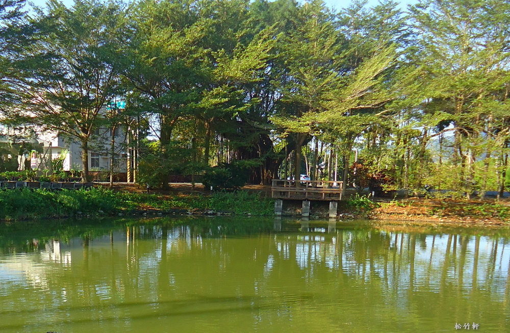 DSC08567.JPG DSC08567.JPG