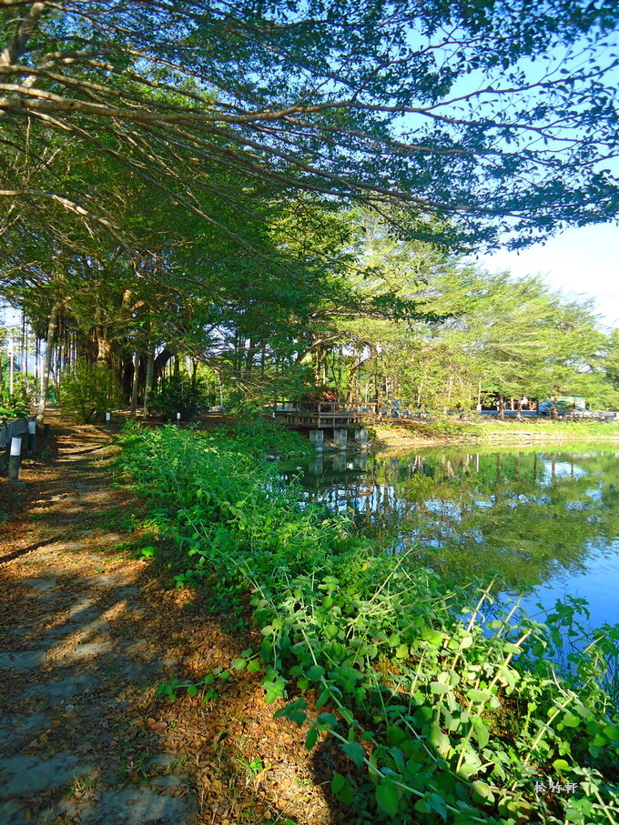 DSC08575.JPG DSC08575.JPG