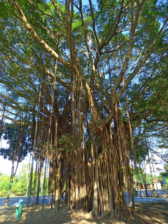 DSC08581.JPG DSC08581.JPG