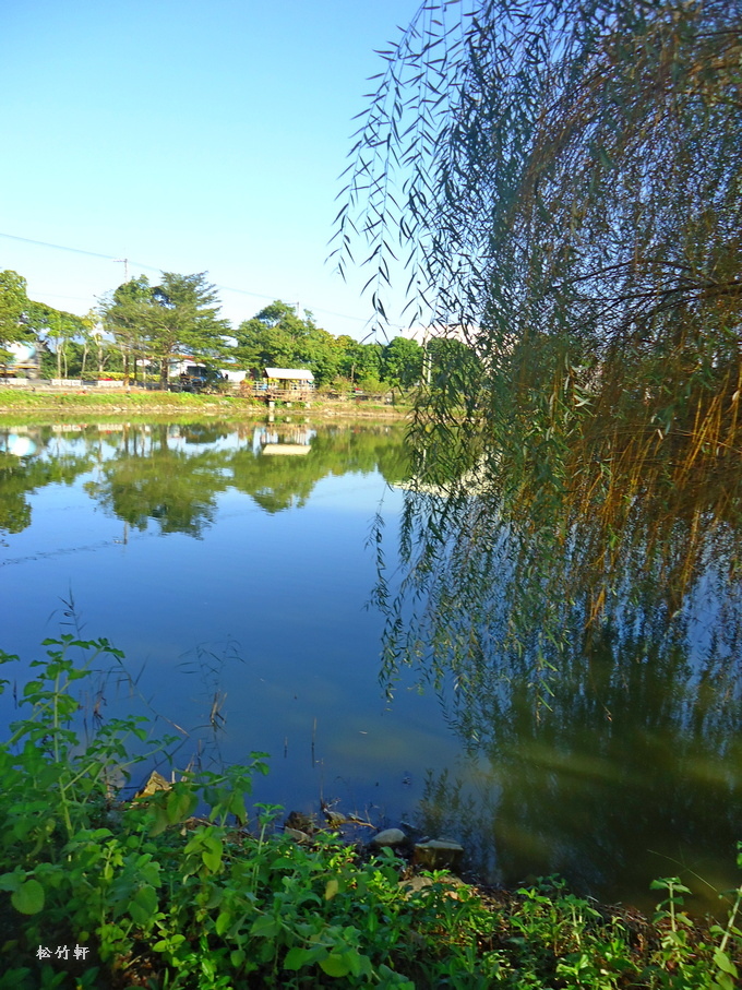 DSC08586.JPG DSC08586.JPG