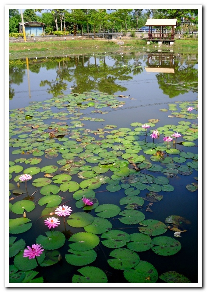 SDC17542.JPG SDC17542.JPG