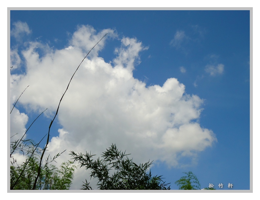 白雲蒼狗靜中生