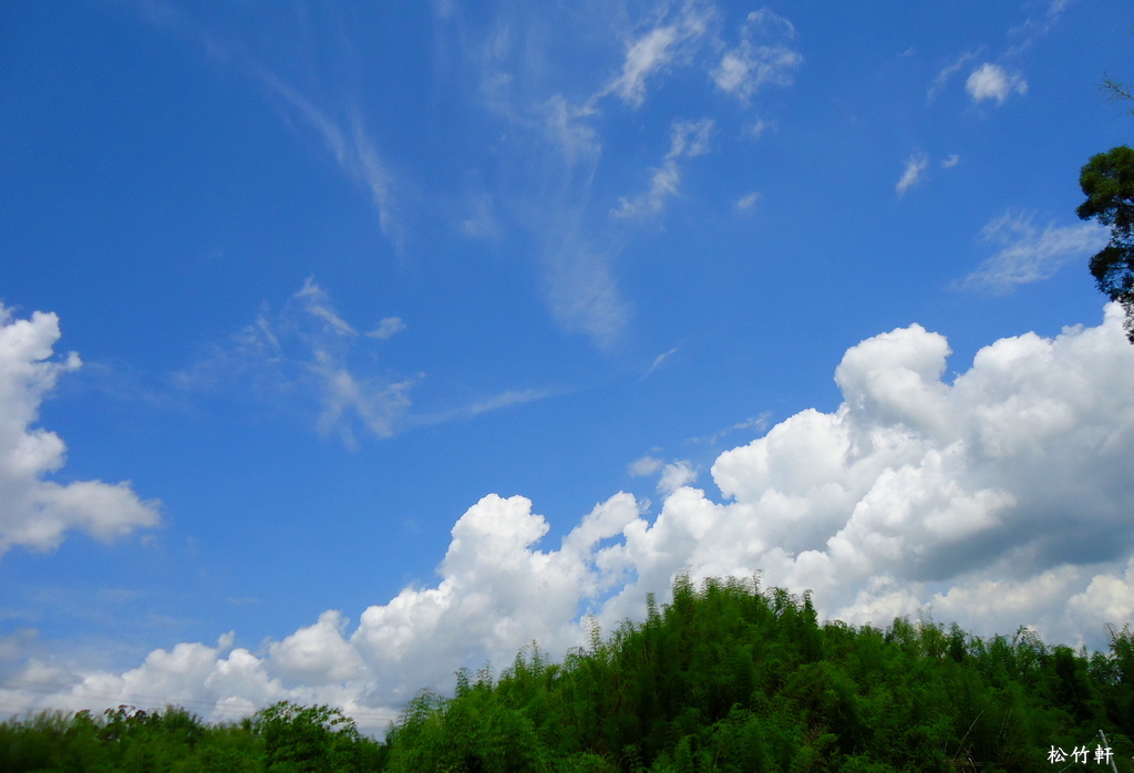 白雲蒼狗靜中生