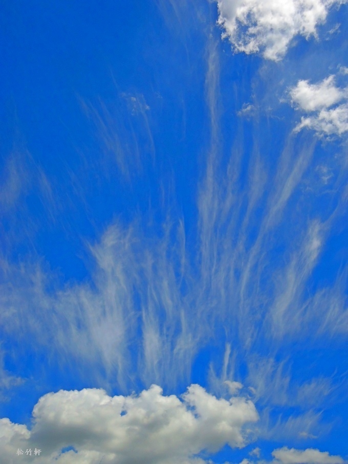 白雲蒼狗靜中生