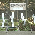 2007年6月份日本關西 073.jpg