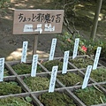 2007年6月份日本關西 075.jpg