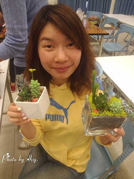 20150424肉肉植物 20150424肉肉植物