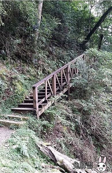 大雪山小雪山 (5).jpg