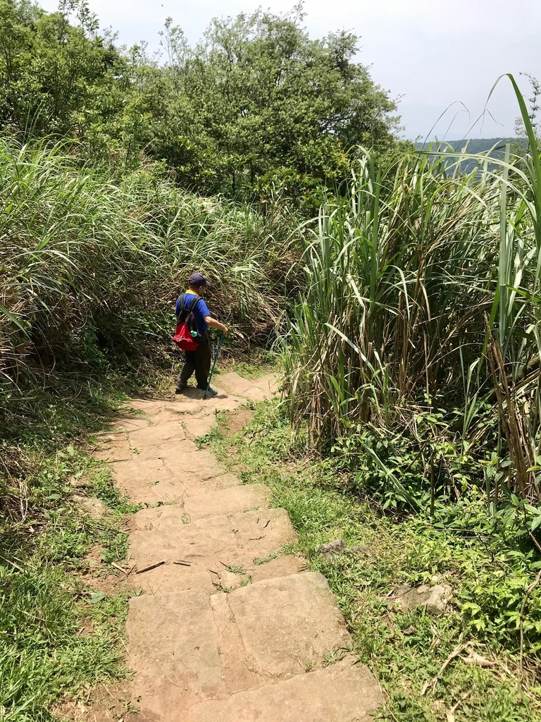 風櫃嘴大湖公園_210506_4.jpg