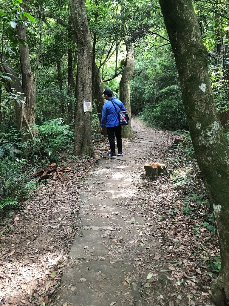 風櫃嘴大湖公園_210506_19.jpg