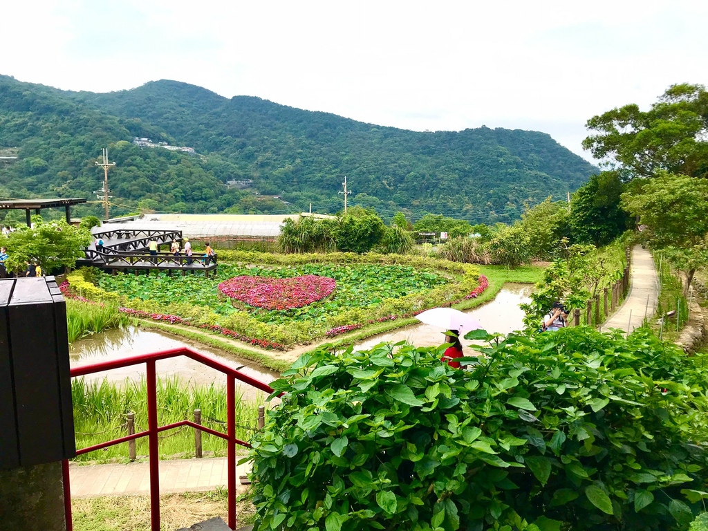 風櫃嘴大湖公園_210506_32.jpg