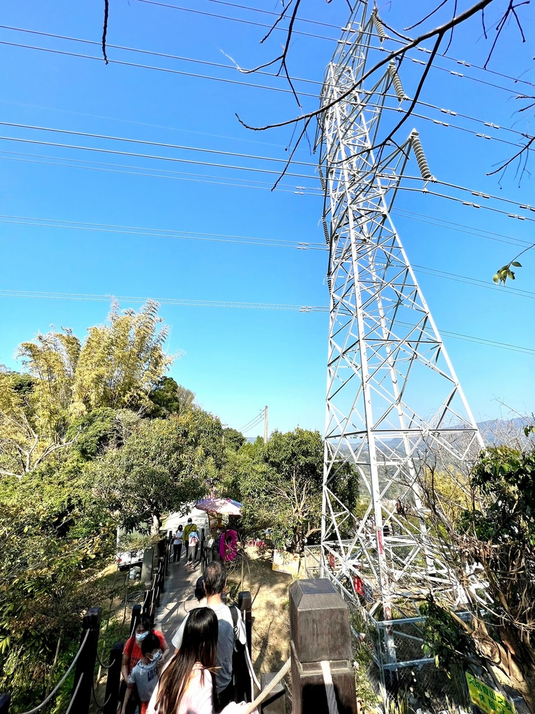 大坑步道_220322_12.jpg