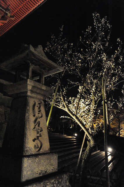 日本-自由行-京都-東山花燈路-清水寺