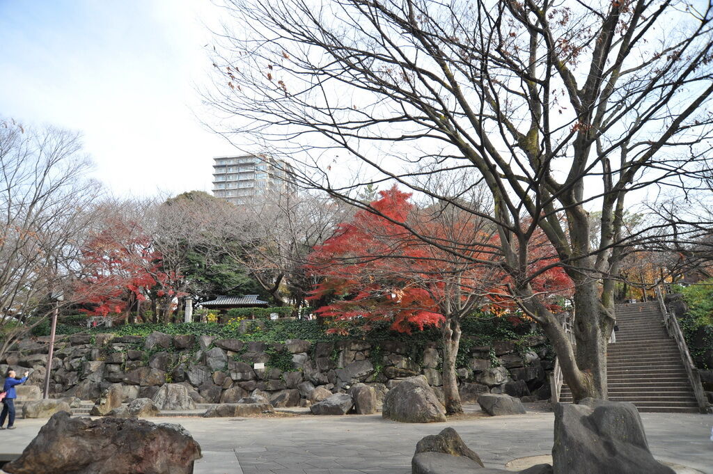 日本-東京-自由行-飛鳥山公園