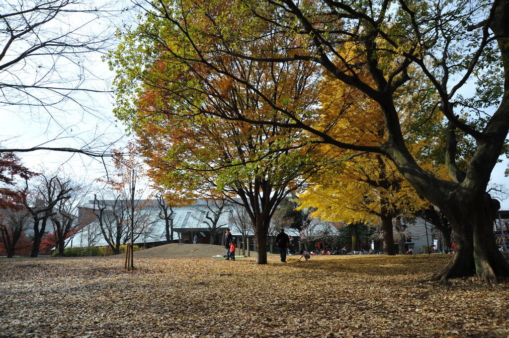 日本-東京-自由行-飛鳥山公園