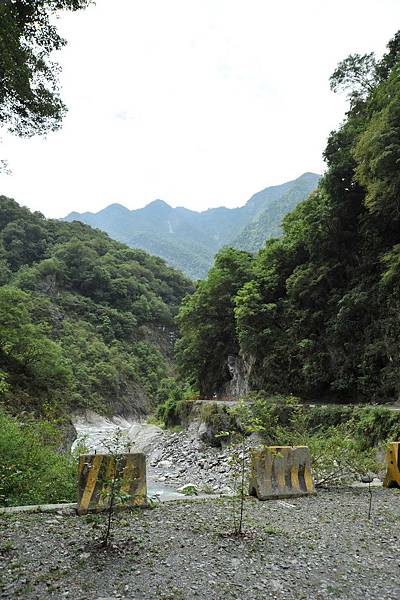 太魯閣-白楊步道-02