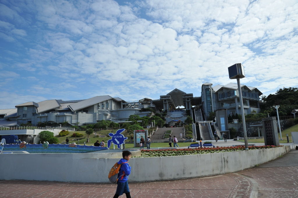 Okinawa-沖繩-自駕-美麗海水族館-03