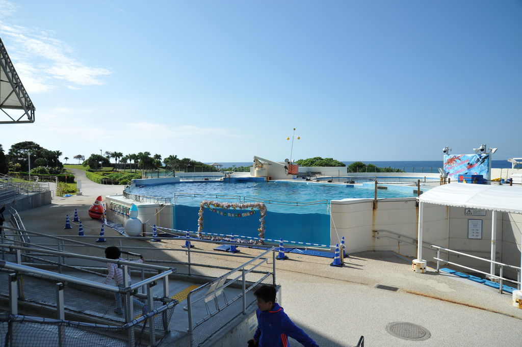 Okinawa-沖繩-自駕-美麗海水族館-海豚劇場