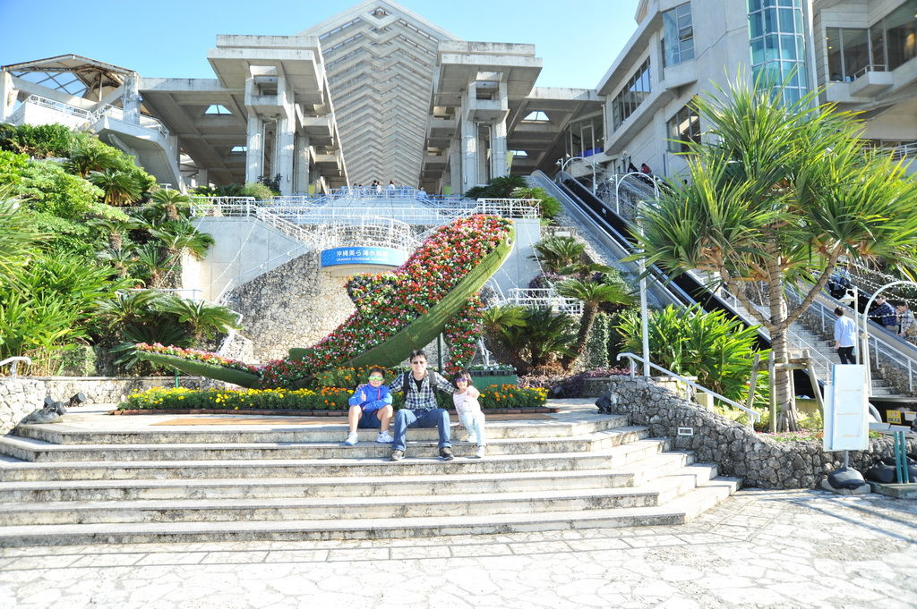 Okinawa-沖繩-自駕-美麗海水族館-10