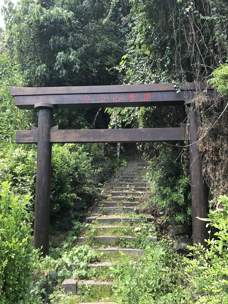 花蓮瑞穗-虎頭山步道-01