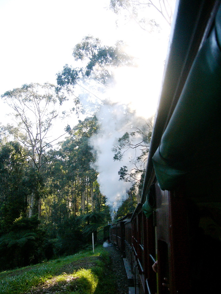 普芬比利蒸汽火車(Puffing Billy Railway, Melbourne)