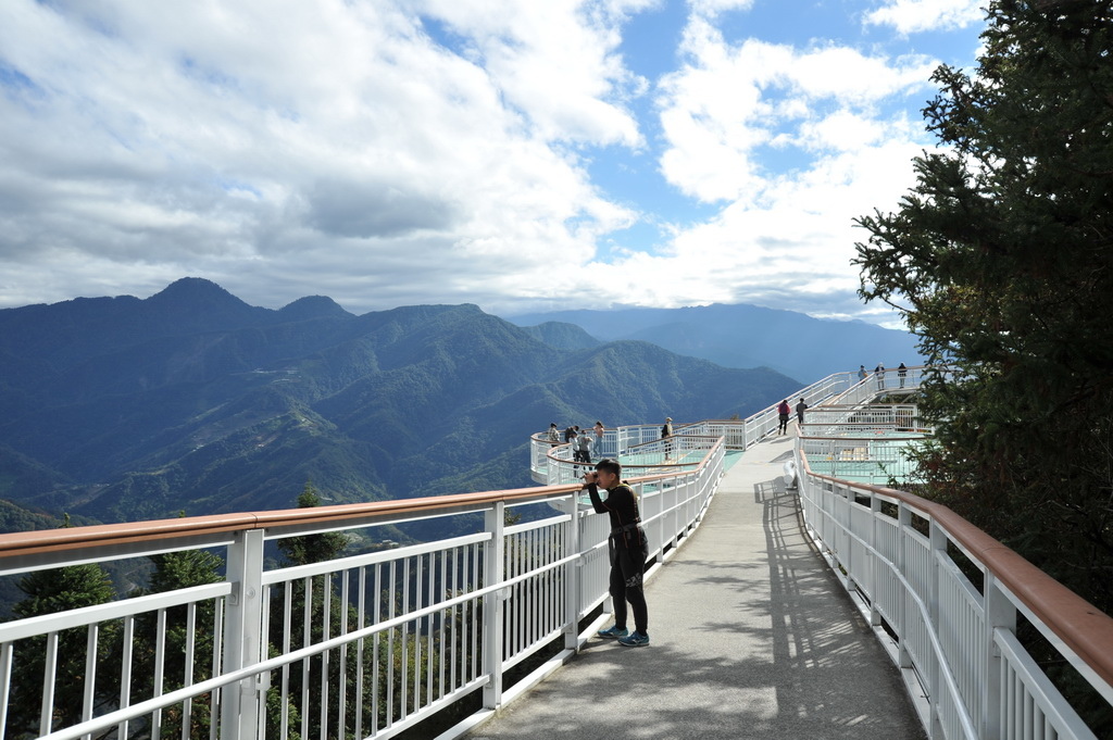 南投清境-高空觀景步道-05