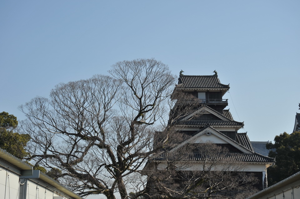 熊本城-宇土櫓