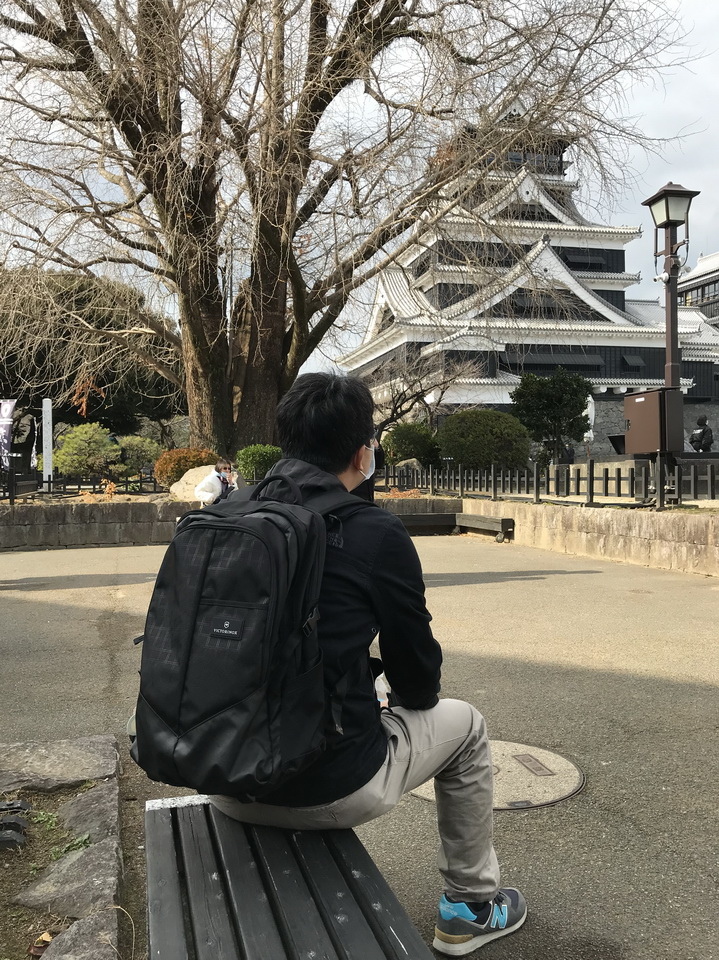 熊本城-大天守及銀杏