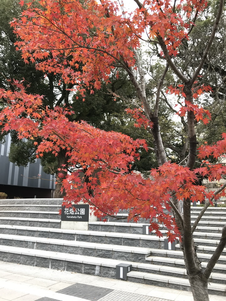 熊本-花畑公園