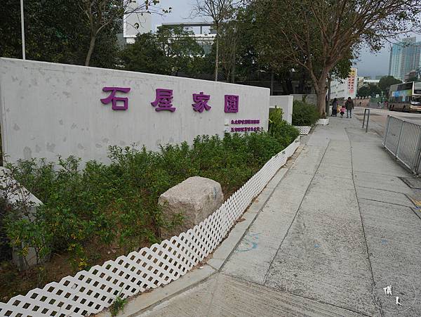 香港九龍城 ║ 石屋家園