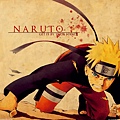 Naruto_poptp_86609.jpg