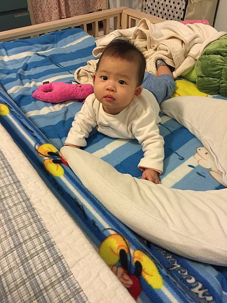 IMG_7090.jpg IMG_7090.jpg