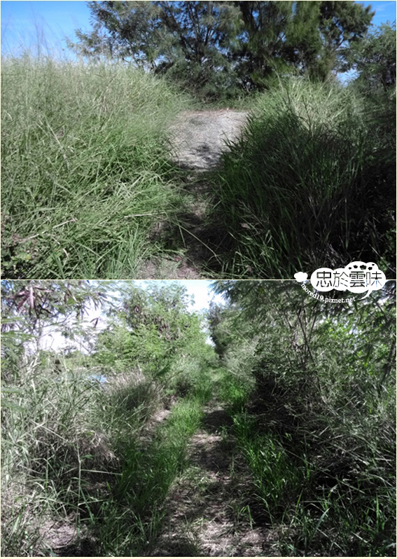 Wild Water Gate 1 Wild Water Gate 1