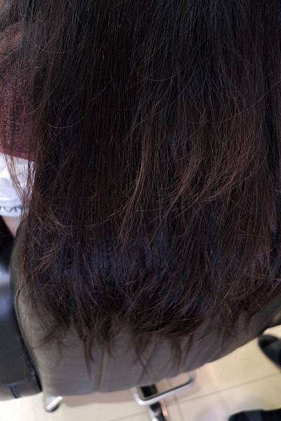 IMG_8373.JPG IMG_8373.JPG