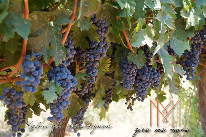 blog size 720x480品酒新手必知的七大葡萄酒品種 Cabernet Sauvignon.jpg blog size 720x480品酒新手必知的七大葡萄酒品種 Cabernet Sauvignon.jpg