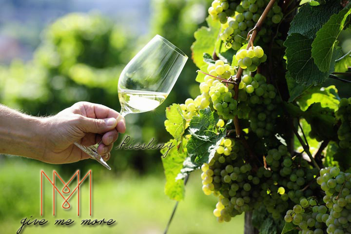blog size 720x480品酒新手必知的七大葡萄酒品種 Riesling.jpg blog size 720x480品酒新手必知的七大葡萄酒品種 Riesling.jpg