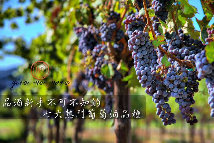 blog size 720x480品酒新手必知的七大葡萄酒品種.jpg blog size 720x480品酒新手必知的七大葡萄酒品種.jpg