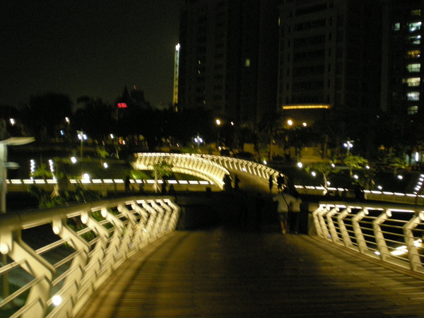 愛河之心夜景