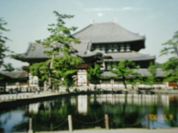 奈良東大寺.秋