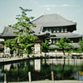 奈良東大寺.秋