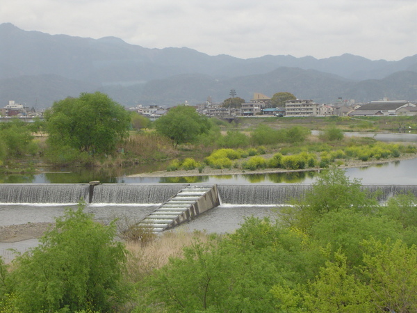 京都.鴨川