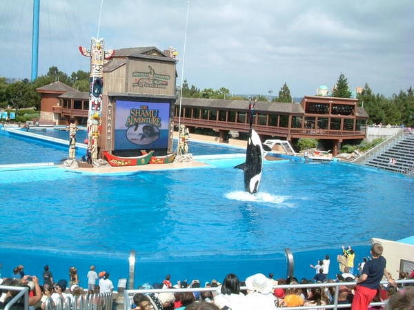 Sea World